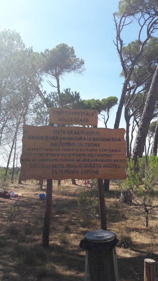 Vada Villetta A 300 Mt Dal Mare 8 Posti Letto Exteriér fotografie